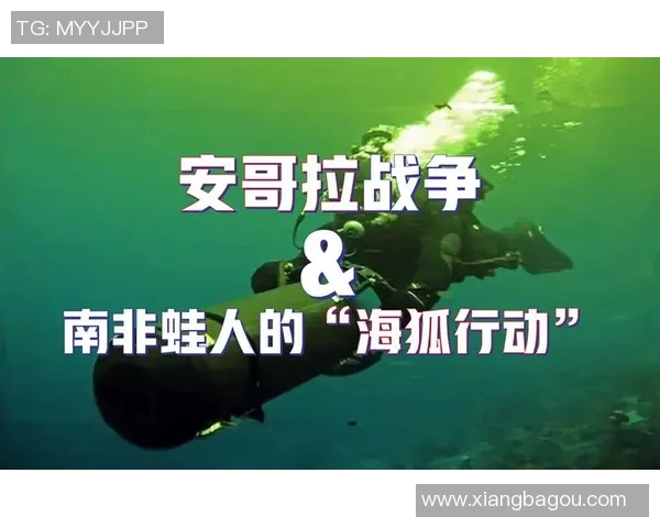 南非与安哥拉比赛因故延迟球迷期待新赛程安排