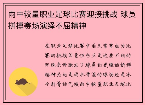 雨中较量职业足球比赛迎接挑战 球员拼搏赛场演绎不屈精神