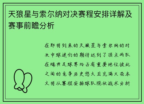 天狼星与索尔纳对决赛程安排详解及赛事前瞻分析