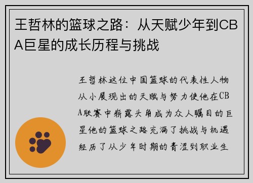 王哲林的篮球之路：从天赋少年到CBA巨星的成长历程与挑战